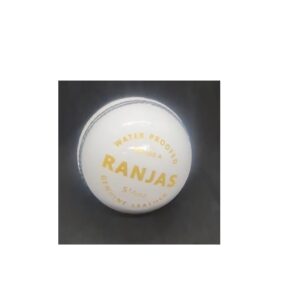 white 50 over ranjas cricket leather balls